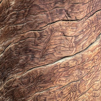 Bois d'olivier sculpté, dessin tourmenté